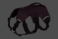 Ruffwear Web Master Harness - Final Sale*